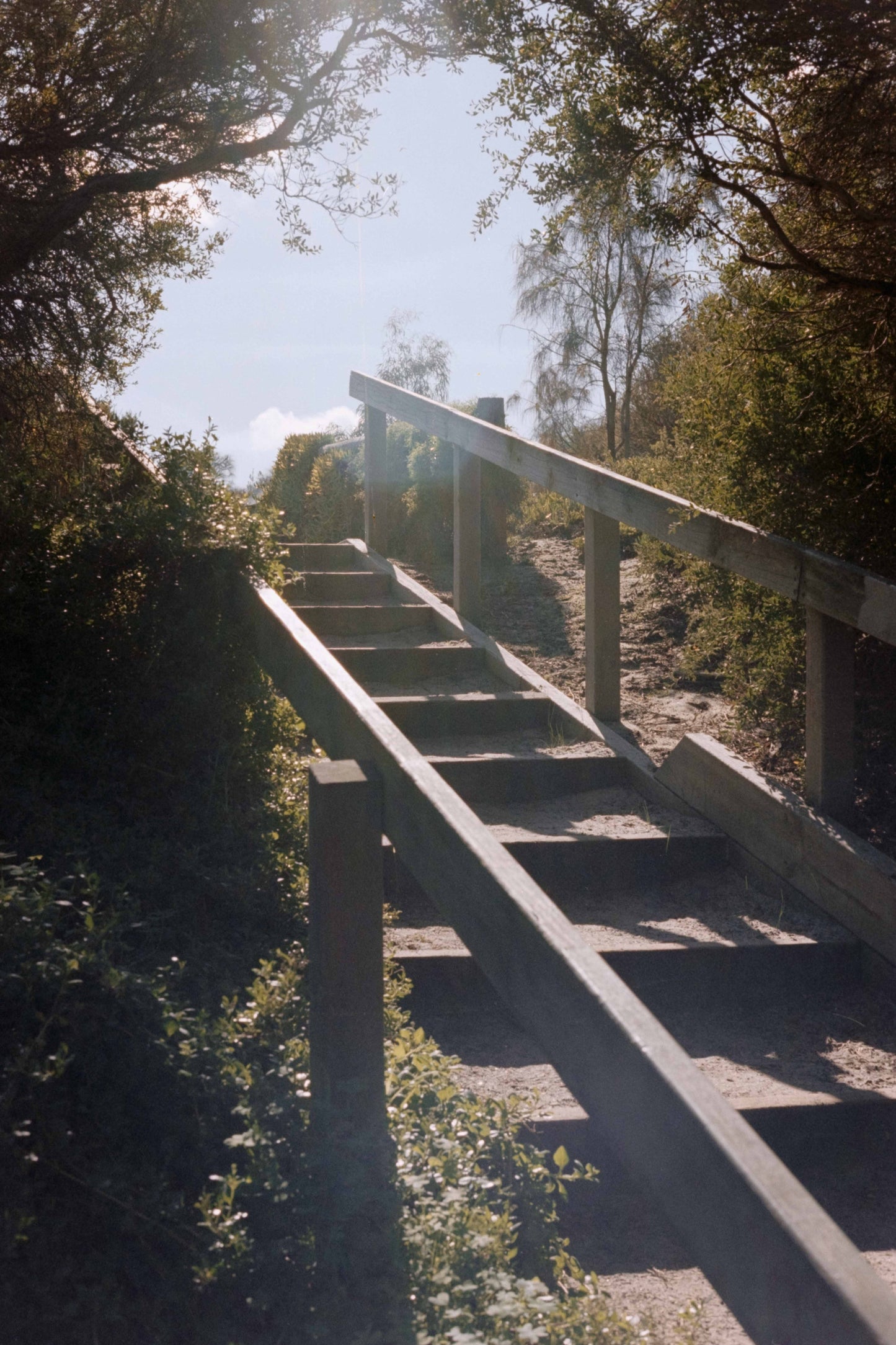 Ethereal Film Store Vision3 250D - 35mm (2018)