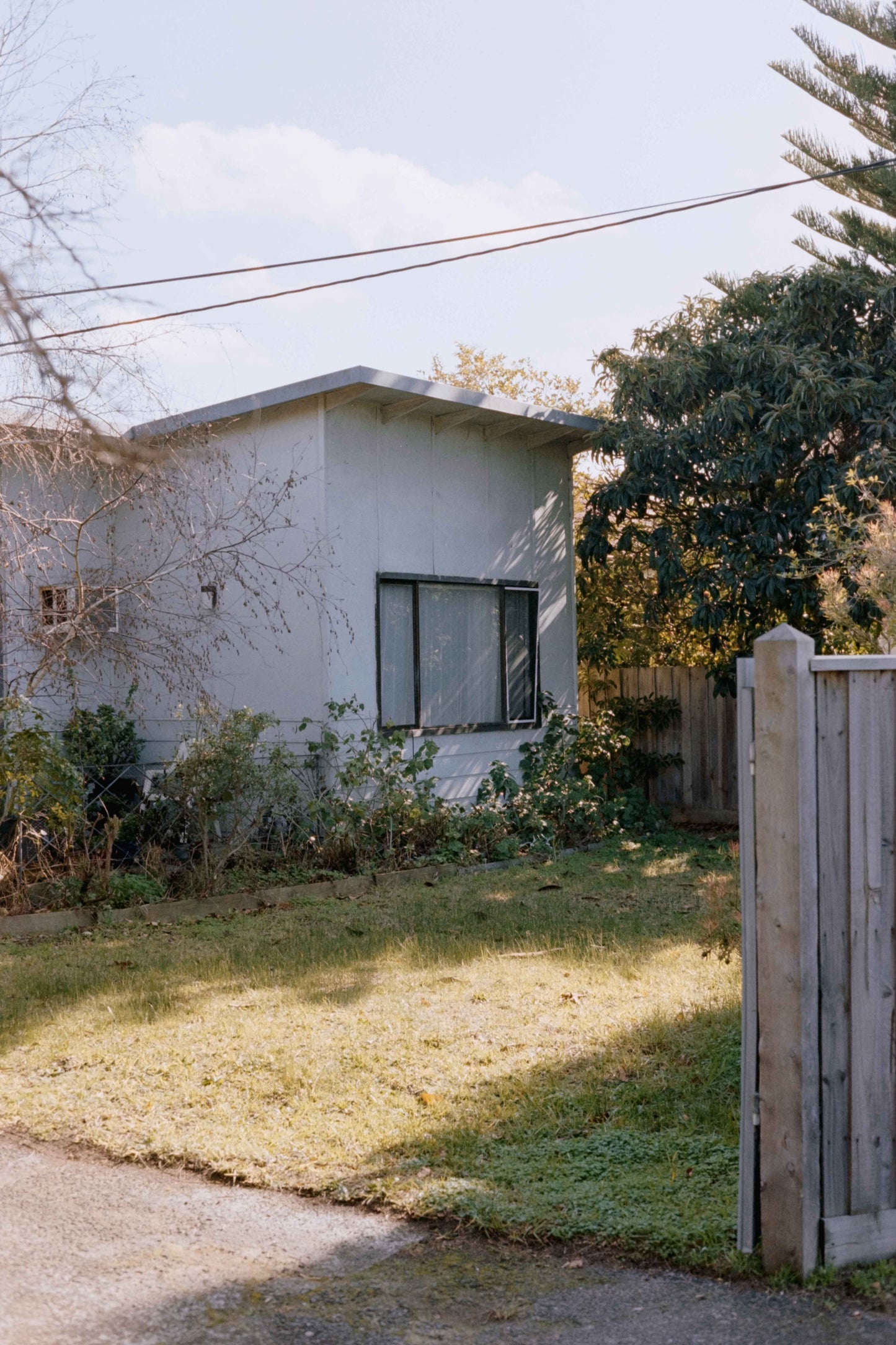 Ethereal Film Store Vision3 250D - 35mm (2018)