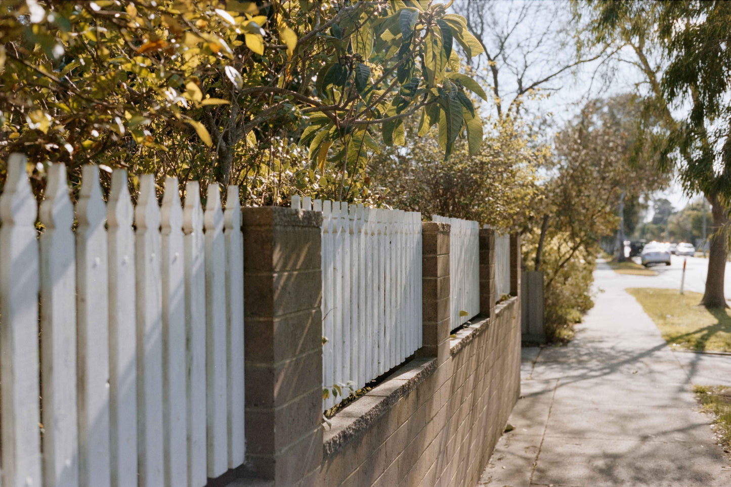 Ethereal Film Store Vision3 250D - 35mm (2018)