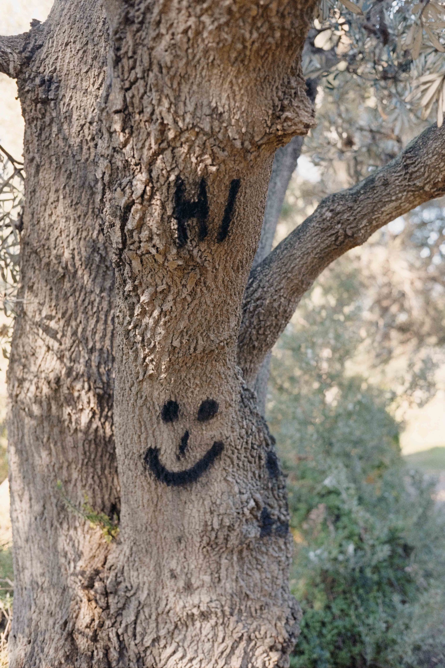 Ethereal Film Store Vision 3 500T - 35 mm 100 ft Bulk Roll (2018)