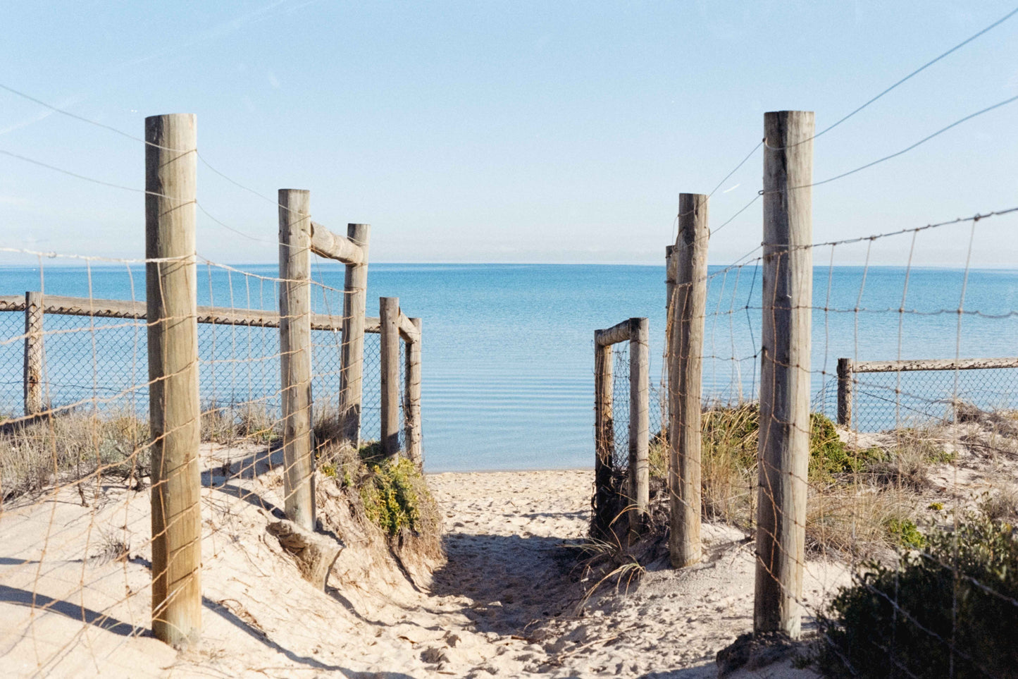 Ethereal Film Store Vision 3 500T - 35 mm 100 ft Bulk Roll (2018)