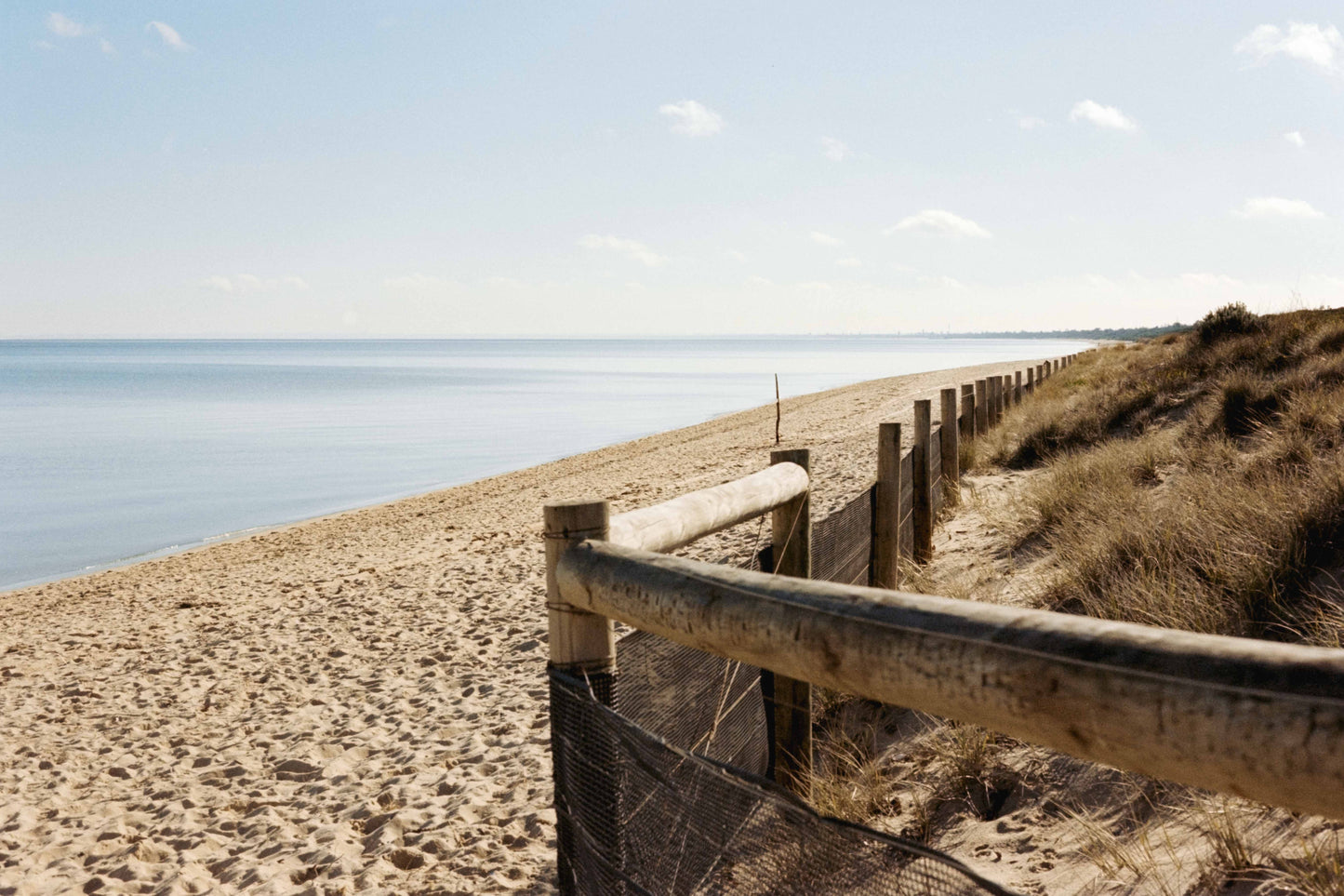 Ethereal Film Store Vision 3 250D - 35 mm 100 ft Bulk Roll (2018)