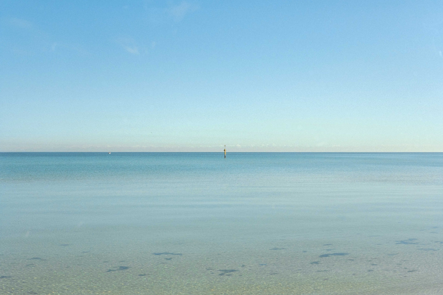 Ethereal Film Store Vision 3 250D - 35 mm 100 ft Bulk Roll (2018)